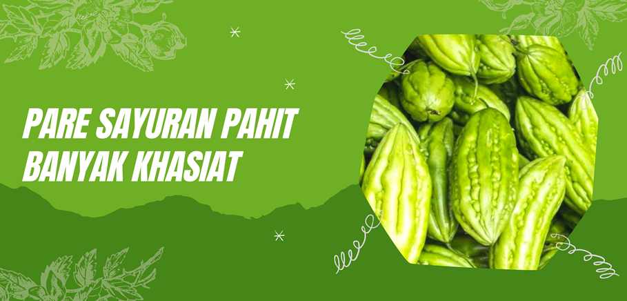 Pare Sayuran Pahit Banyak Khasiat Pare Sayuran Pahit Banyak Khasiat